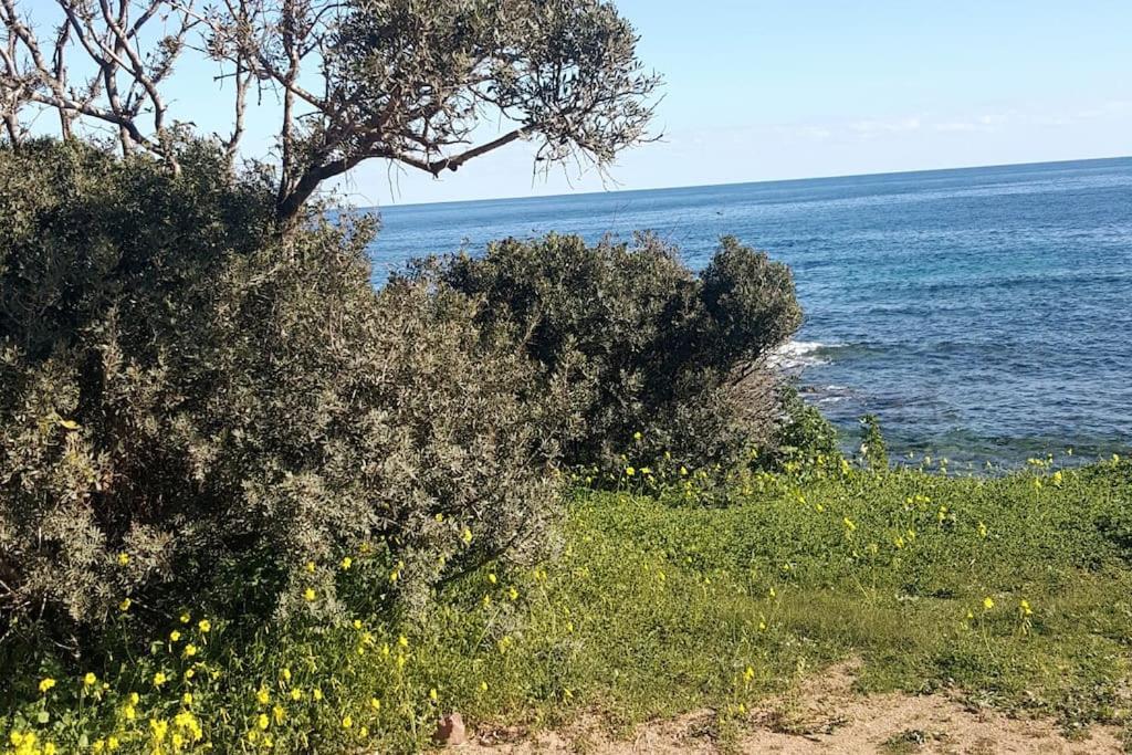 Villa Stella Maris - Abba Urci Tertenìa Esterno foto